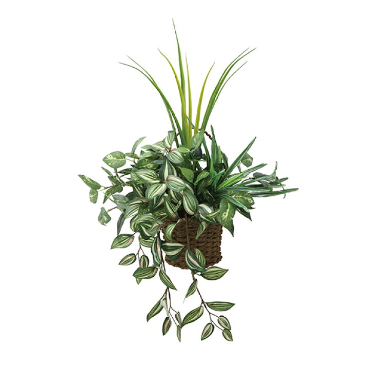 楽天市場】光触媒 壁掛け 観葉植物 グリーン フェイクグリーン 人工 