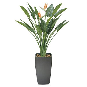 G} ϗtA ^ CeA 傫 A[gXg`Aԕt 180cm tA^Cv nCTCY tFCNO[ lHϗtA A[gO[ ̊y lHA  L R h 