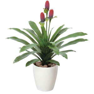 光触媒 観葉植物 ミニ マガベ花付 高さ67cm フロアタイプ ミドルサイズ 人工観葉植物 アートグリーン フェイクグリーン 光の楽園 ギフト 新築祝い プレゼント 友人 花 鉢植え 造花 消臭 ホル