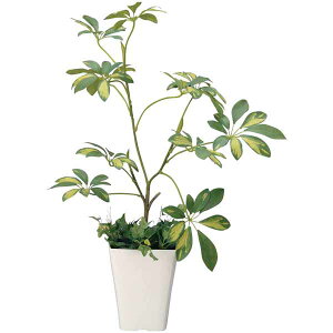 G} ϗtA VFt 68cm tA^Cv ~hTCY lHϗtA A[gO[ tFCNO[ ̊y lHA Vzj v[g Fl  L R h C