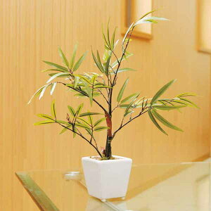 G} ϗtA tFCN | 35cm e[u^Cv ~j CeAO[ ~jϗtA  A[gO[ tFCNO[ ̊y lHA Mtg Vzj v[g Fl 