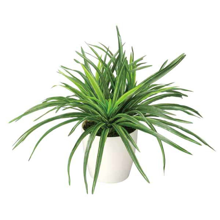 楽天市場】光触媒 観葉植物 フェイク ドラセナ 高さ32cm テーブル 