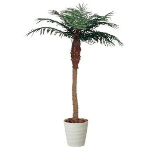 G} ϗtA ^ A[gO[ tFCNO[ C~e[VO[ A[g O[ lHϗtA lH A rO JtF Mtg Vzj v[g Fl 蕨 Ce