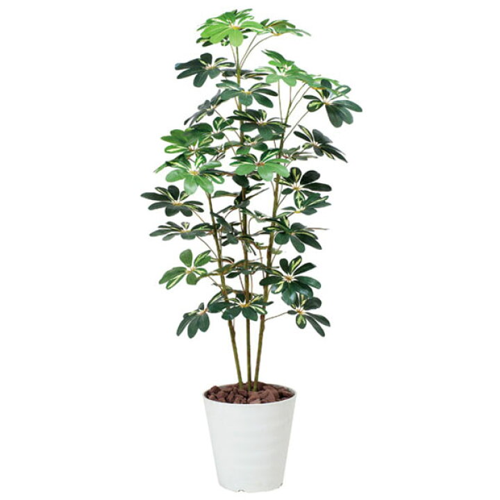 楽天市場】光触媒 観葉植物 大型 アートグリーン フェイクグリーン  