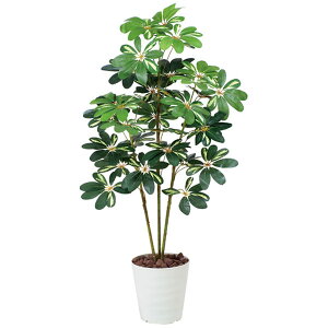 G} ϗtA A[gO[ tFCNO[ C~e[VO[ A[g tFCN O[ lHϗtA lH A rO ItBX JtF Mtg v[g CeA l