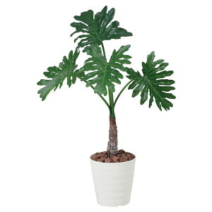 G} ϗtA A[gO[ tFCNO[ C~e[VO[ A[g O[ lHϗtA lH A rO ItBX JtF Mtg Vzj v[g 蕨 Ce