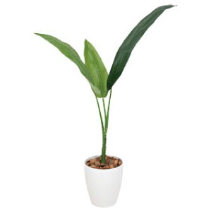 G} ϗtA A[gO[ tFCNO[ C~e[VO[ A[g tFCN O[ lHϗtA lH A rO ItBX JtF Mtg Vzj v[g C