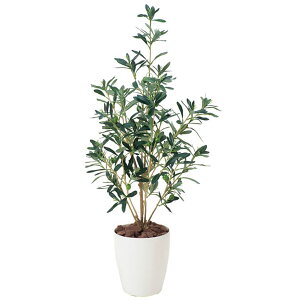 G} ϗtA A[gO[ tFCNO[ C~e[VO[ A[g O[ lHϗtA lH A rO ItBX JtF Mtg Vzj v[g 蕨 Ce