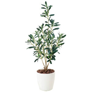 G} ϗtA A[gO[ tFCNO[O[ A[g tFCN O[ lHϗtA lH rO ItBX JtF Mtg Vzj v[g CeA lHA L 