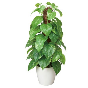 G} ϗtA ~j A[gO[ tFCNO[O[ A[g tFCN O[ lHϗtA lH rO ItBX JtF Mtg CeA lHA L h h z