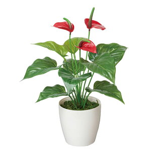 G} ϗtA ~j A[gO[ tFCNO[ C~e[VO[ A[g tFCN O[ lHϗtA lH A rO ItBX JtF Vzj v[g 蕨 