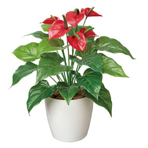 G} ϗtA A[gO[ tFCNO[O[ A[g tFCN O[ lHϗtA lH rO ItBX JtF Vzj v[g 蕨 lHA L h h z