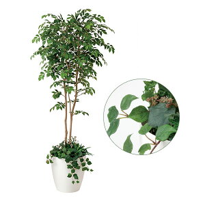 ϗtA ^ G} CeA 傫 lHA tFCNO[ lH A[gO[ K̖  R h L zAfqh   C A }EeAbV