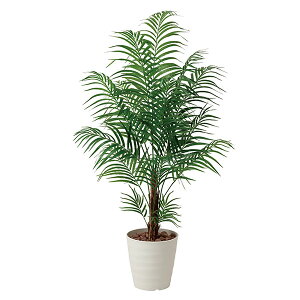 ϗtA G} tFCN ^ CeA lHA tFCNO[ lH A[gO[ K̖  R h L zAfqh   C A AJp[ 