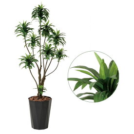 楽天市場 大きい 種類 植物 ドラセナ 幸福の木 造花 造花 人工観葉植物 花 観葉植物 花 ガーデン Diyの通販