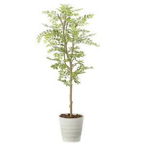 ϗtA G} CeA lHA tFCNO[ lH A[gO[ K̖  R h L zAfqh  C C~e[V A S[f[t l