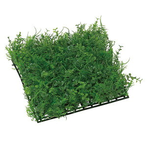 ǖʗΉ G} lHϗtA EH[  Ǌ| O[ ǖ  tFCNO[ gsA[ ϗtA lHA A[gO[ L R h zAfqh CeA C~e