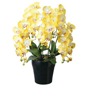 G}  tFCNt[ tFCNO[ Ӓ R`E A[gt[  lHϗtA ϗtA   j JXj j L R h zAfqh  