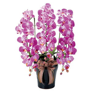  A[gt[ t[AWg G}  t[ AWg ϗtA lHϗtA CeA t[Mtg a Mtg Vzj JXj j v[g 