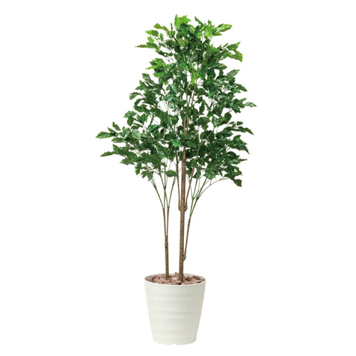 楽天市場 観葉植物 人口植物 フェイクグリーン 人工観葉植物 植物 インテリア インテリアグリーン フェイク グリーン 緑 庭 造花 美容室 開店祝い サロン 新築祝い プレゼント 友人 花 イミテーショングリーン アートグリーン ローズウッドツリー 高さ180cm アーネ 楽天市場 観葉植物 人口植物 フェイクグリーン 人工観葉植物 植物 インテリア インテリアグリーン フェイク グリーン 緑 庭 造花 美容室 開店祝い サロン 新築祝い プレゼント 友人 花 イミテーショングリーン アートグリーン ローズウッドツリー 高さ180cm アーネ