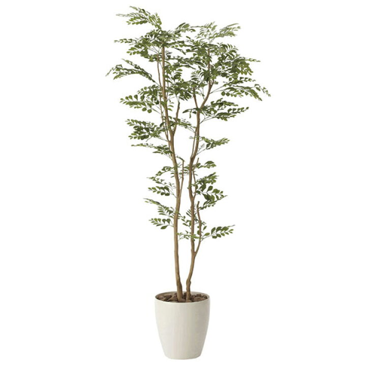 楽天市場 光触媒 観葉植物 植物 人工観葉植物 大型 フェイクグリーン インテリア おしゃれ 室内 ギフト 新築祝い プレゼント 友人 お祝い 美容室 開店祝い サロン 引っ越し祝い 人工 人工植物 インテリアグリーン フェイク グリーン トネリコ1 6 高さ160cm 光の楽園