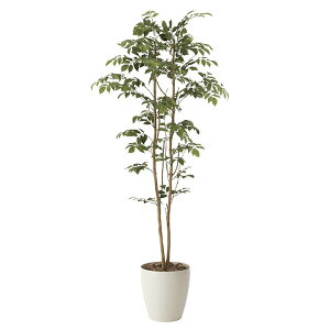 G} ϗtA A lHϗtA ^ tFCNO[ CeA   Mtg Vzj v[g Fl j e JXj T zj lH lHA Ce