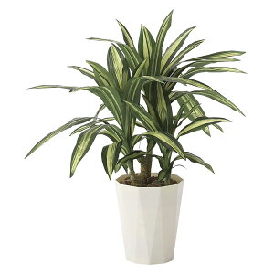 lHϗtA G} ϗtA tFCNO[ CeA CeAO[ lHA tFCN l C~e[V C~e[VO[ A[gO[  Mtg j 