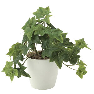 lHϗtA G} ϗtA ~j tFCNO[ CeA C~e[VO[ CeAO[ _ lHA tbVACr[S 25cm ~jϗtA Mtg Vzj