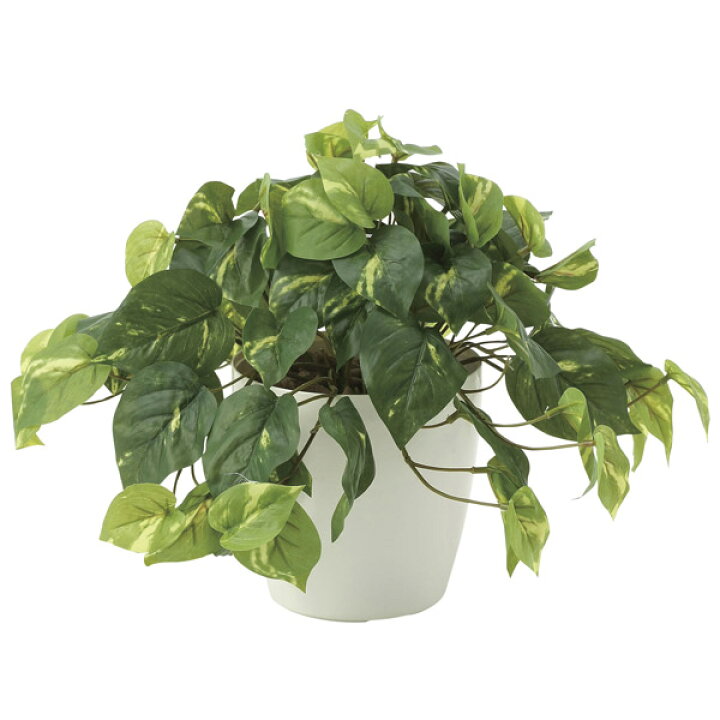 楽天市場】フェイクグリーン ミニ 人工観葉植物 光触媒 観葉植物 