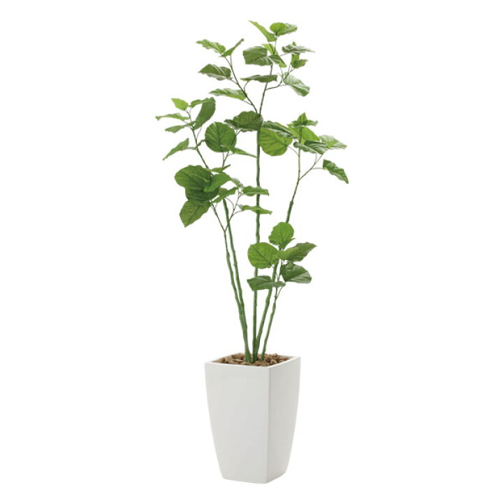 楽天市場】人工観葉植物 光触媒 観葉植物 おしゃれ フェイク フェイク 