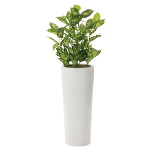 lHϗtA G} ϗtA  tFCN tFCNO[ CeA A[gO[ CeAO[ lHA 140cm fBtFoLA1.4 L R h C~e[V