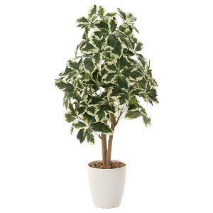 lHϗtA G} ϗtA  tFCN tFCNO[ CeA A[gO[ CeAO[ lHA 90cm VFt90 L R h C~e[VO