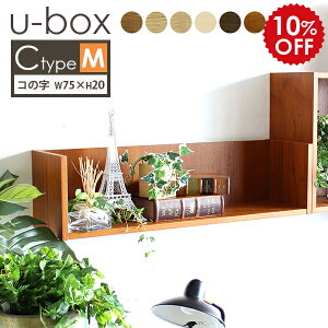 Ǌ| bN fBXvC fBXvCbN  I VFt  I a EH[bN zCg EH[VFt s20  ΍p{[h ؐ AeB[N a [ k 