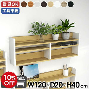 EH[VFt 120cm X bN VFt EH[bN Ǖt Ǌ|[ fBXvCbN ^bN k _ ItBX Lb` rO[  I Ǌ|I f