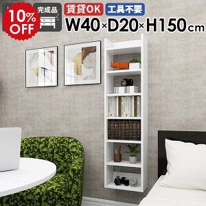 EH[bN Ǌ|VFt fBXvCbN Ԏ[ JtF ItBX s20cm I Lb` XbN [I  rO k ȃXy[X i 40cm  gC