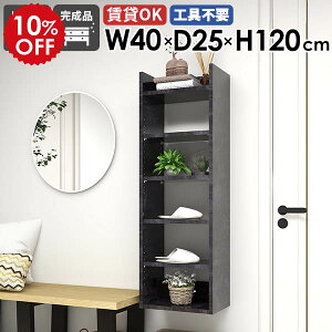 Ǌ|VFt EH[bN [I ^bN ǂɂI 40cm { fBXvCbN   rO i ȃXy[X I  gC Lb` k ܎[