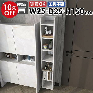 XEH[VFt Ǌ|bN fBXvCbN t ItBX ȃXy[X  Lb` 25cm s25cm I JtF ^bN Ԏ[ k _ ǖʎ[  