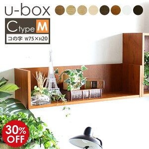 壁掛け ラック ディスプレイ ディスプレイラック 壁 棚 シェルフ 賃貸 飾り棚 和風 ウォールラック ホワイト ウォールシェルフ 奥行20 白 石膏ボード 木製 アンティーク 和 ワンルーム 北欧