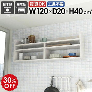 EH[VFt XbN VFt zCg 嗝Ε  EH[bN 120cm Ǌ|[ fBXvCbN  ^ k  ItBX Lb` rO[  