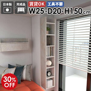 Ǌ|bN EH[VFt fBXvCbN [I { i ^bN Ԏ[ k _ JtF Lb` rO _CjO ItBX I   ȃXy[