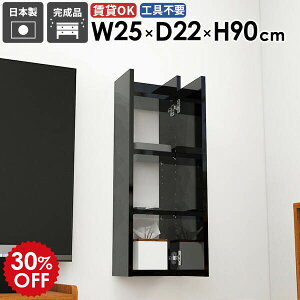 EH[VFt  Ǌ|bN _CjO X ʏ  ݂˒I gC[ Ǌ| Lb` JtF I[vbN k i ΍p{[h   _ EH[L