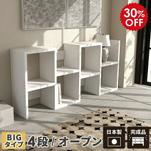 fBXvCbN s  zCg i gݗĕsv {I bN I[vbN 4i X I rO[ ^ s30cm I a  fBXvC  Y k fBXv