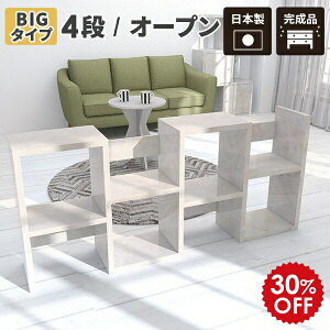 I fBXvCbN s i gݗĕsv {I 嗝Ε bN I[vbN 4i  X s30cm rO[ 嗝Ε fBXvC I VFt 4ibN I[v