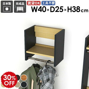 ウォールハンガーラック ウォールラック ディスプレイ ウォールシェルフ 家具 衣類収納 シンプル 収納棚 パイプハンガー 取り付け 賃貸 石膏ボード 洗面所 スリム コート掛け 玄関 棚付き