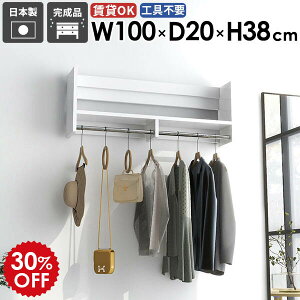壁掛けハンガーラック 壁掛けラック ベッドルーム ディスプレイ ウォールシェルフ 家具 衣類収納 シンプル 収納棚 パイプハンガー 取り付け 石膏ボード 賃貸 洗面所 スリム コート掛け 玄関