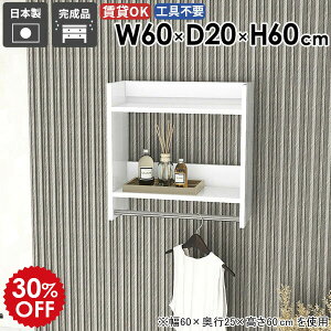 ハンガーラック 壁付け ウォールラック パイプハンガー オシャレ 収納ラック コートハンガー シンプル 玄関収納 収納 ウォールシェルフ 収納棚 スリム 洋服収納 什器 小物 石膏ボード 賃貸