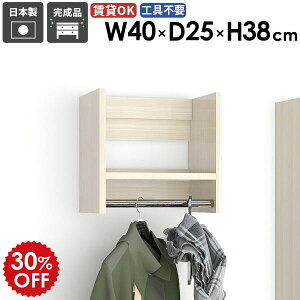 ウォールシェルフ ウォールラック タオル掛け 洋服掛け コート掛け シンプル コンパクト ディスプレイ 収納 収納具 衣類収納 ラック フック ハンガー ベッドルーム オシャレ 飾り棚 スリム