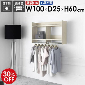 壁掛けハンガーラック 壁掛けラック コートハンガー 石膏ボード 洗面所 スリム ハンガー掛け 衣類収納 家具 カバン 飾り棚 小物 ウォールシェルフ 賃貸 コート 取り付け 洋服収納 省スペー