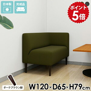 _CjOx` 120cm wt \t@ 2l| O[ _CjO\t@ l炵 l| RpNg R[i[ 2l R[i[\t@ _CjO L k ҍ \t@[ x` `