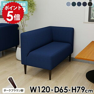 _CjOx` 120cm wt 120 l炵 fj x` l| R[i[ \t@[ fjn 120 L _CjO`FA w _CjO\t@ X R[i[\t@[ 